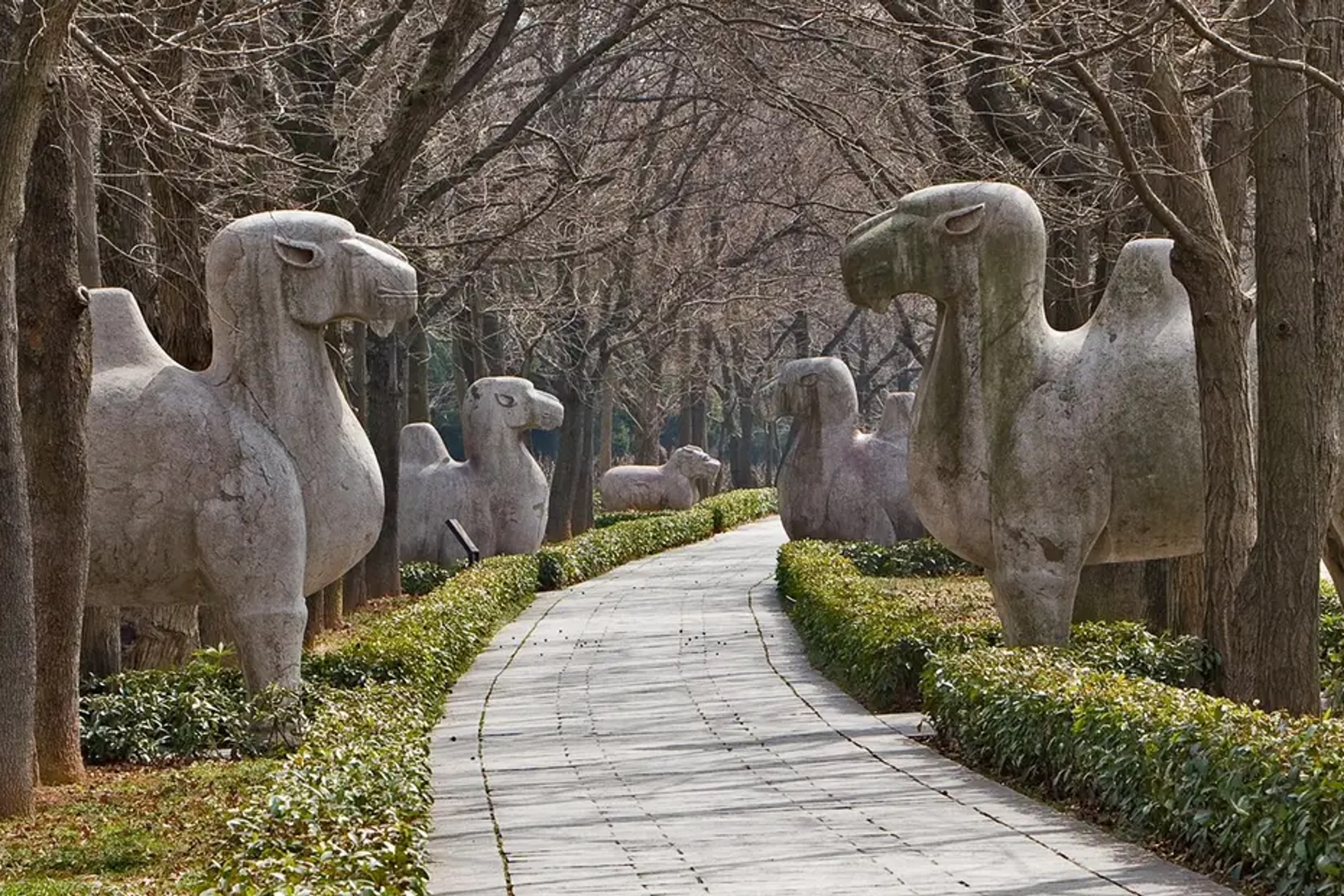 Nanjing Day Tour from Shanghai by Bullet Train